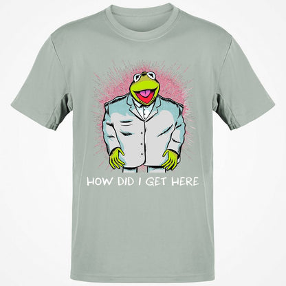 Classic Unisex T-Shirt - RFHZNJL5 - Ash - 2
