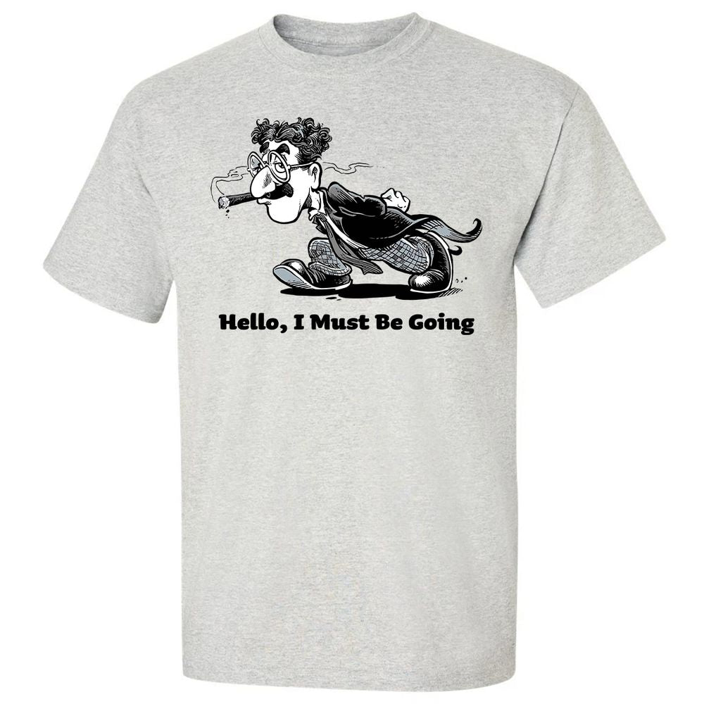 Hello, I Must Be Going - Ash - 2