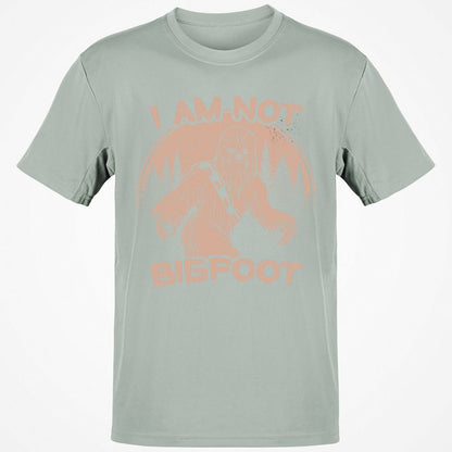 Classic Unisex T-Shirt - 1VRQXAC9 - Ash - 2