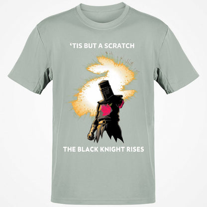 Classic Unisex T-Shirt - AX2YH6SA - Ash - 2