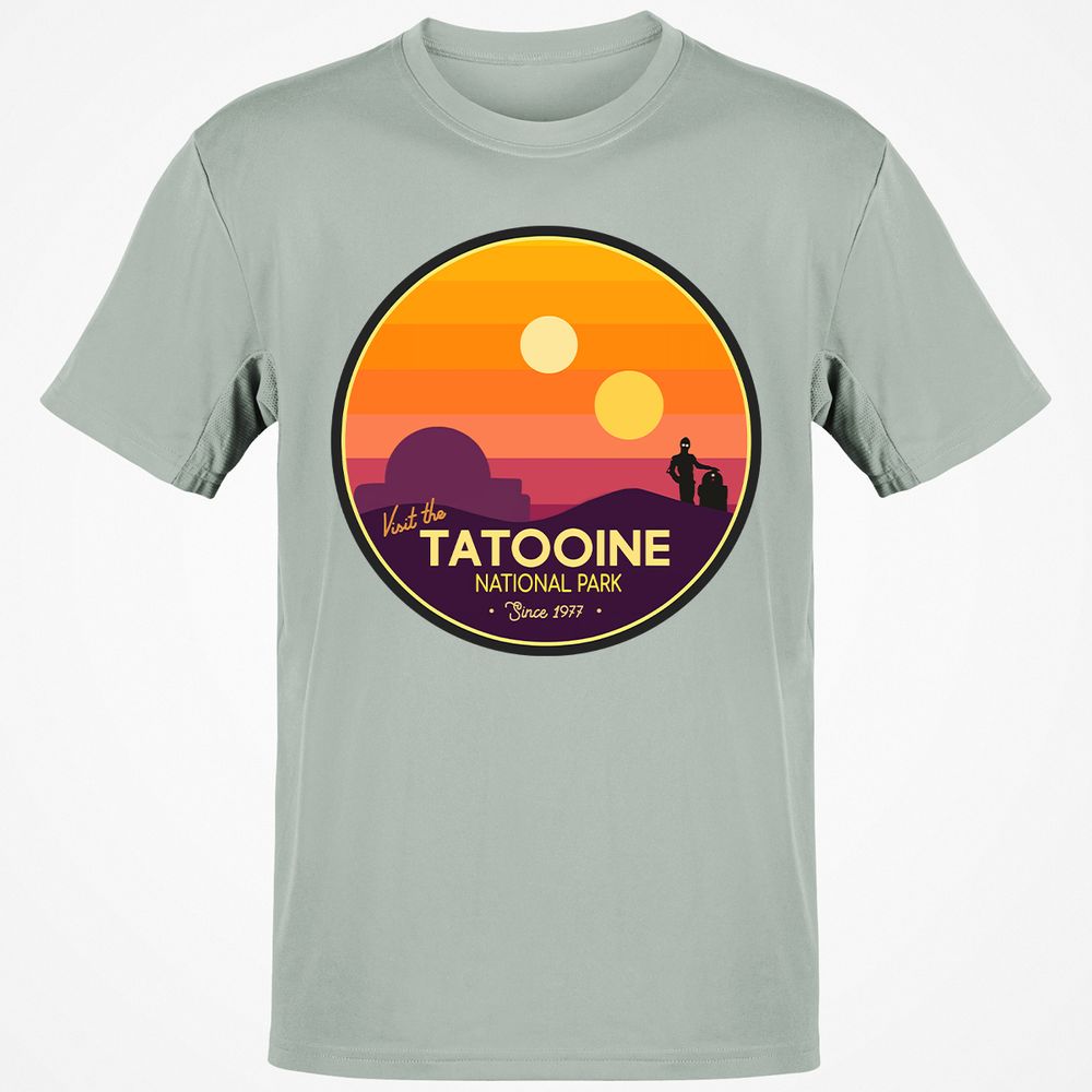 Classic Unisex T-Shirt - 9VFBBBTP - Ash - 2