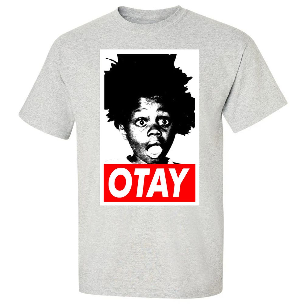 Classic Unisex T-Shirt - N1QABNG1 - Ash - 2