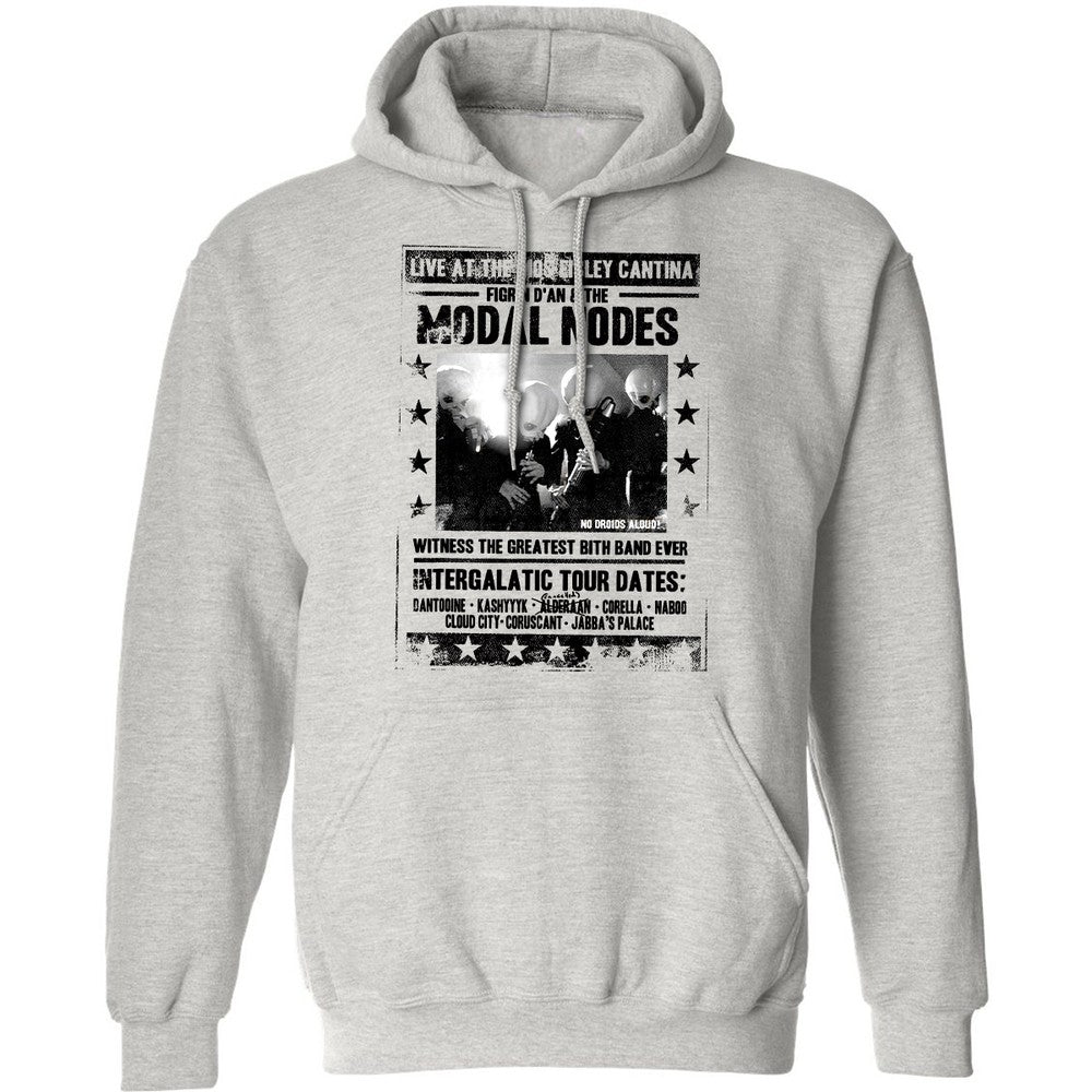 Classic Unisex Hoodie - 5YTJSUDW - Ash - 2