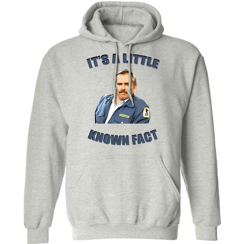 Classic Unisex Hoodie - 9VZB7FAB - Ash - 2