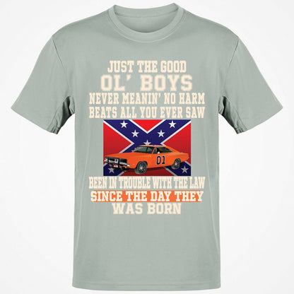Classic Unisex T-Shirt - Z4KZF5YM - Ash - 2