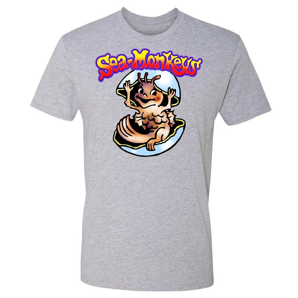 Hatching Sea-Monkeys - Heather Grey - 2