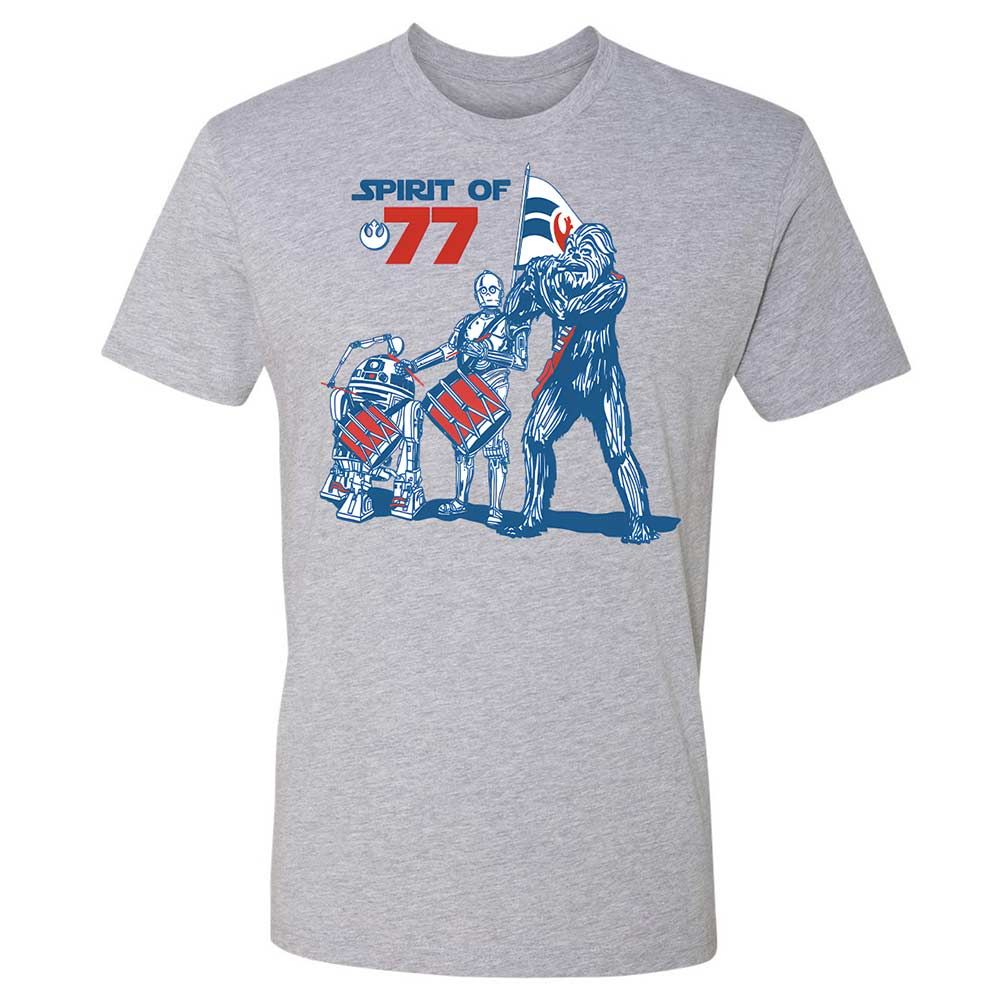 Spirit of 77 - Heather Grey - 2