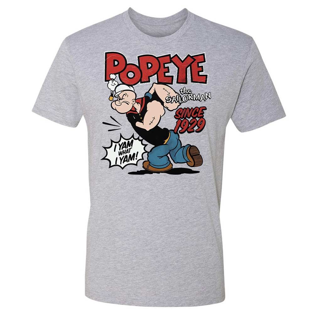 Premium Unisex T-Shirt - ABXHBXSV - Heather Grey - 2