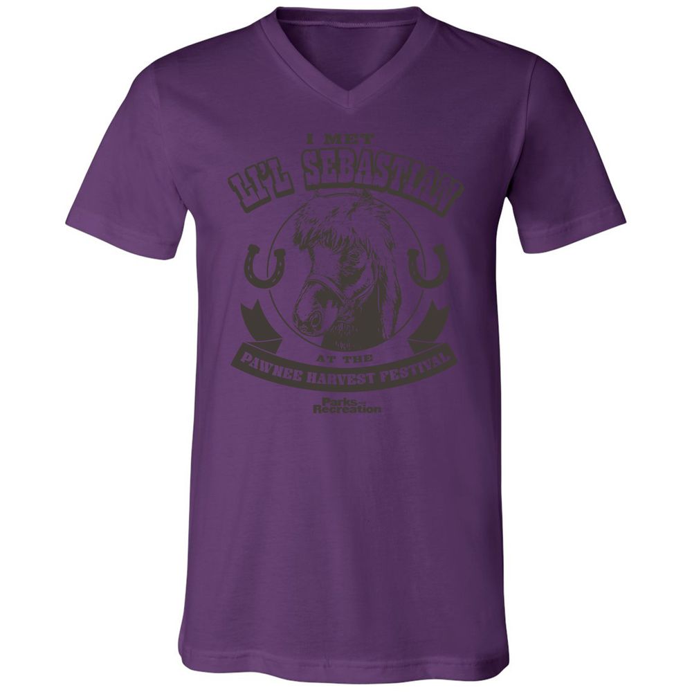 Unisex V-Neck T-Shirt - QMHL7322 - Team Purple - 2