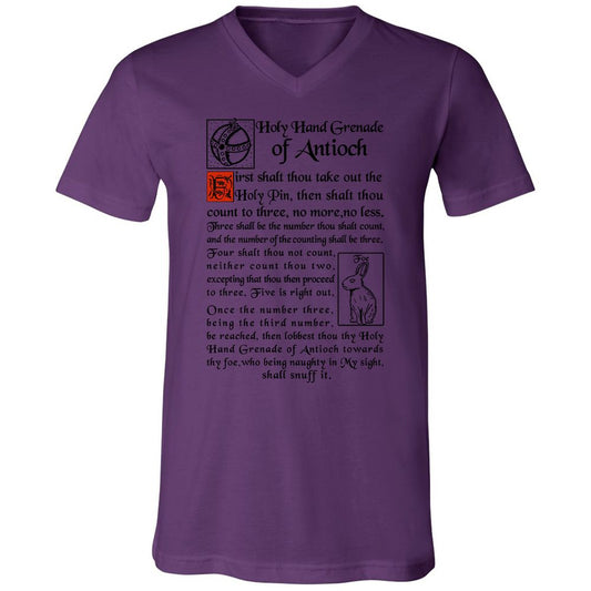 Unisex V-Neck T-Shirt - YXBMKG64 - Team Purple - 2