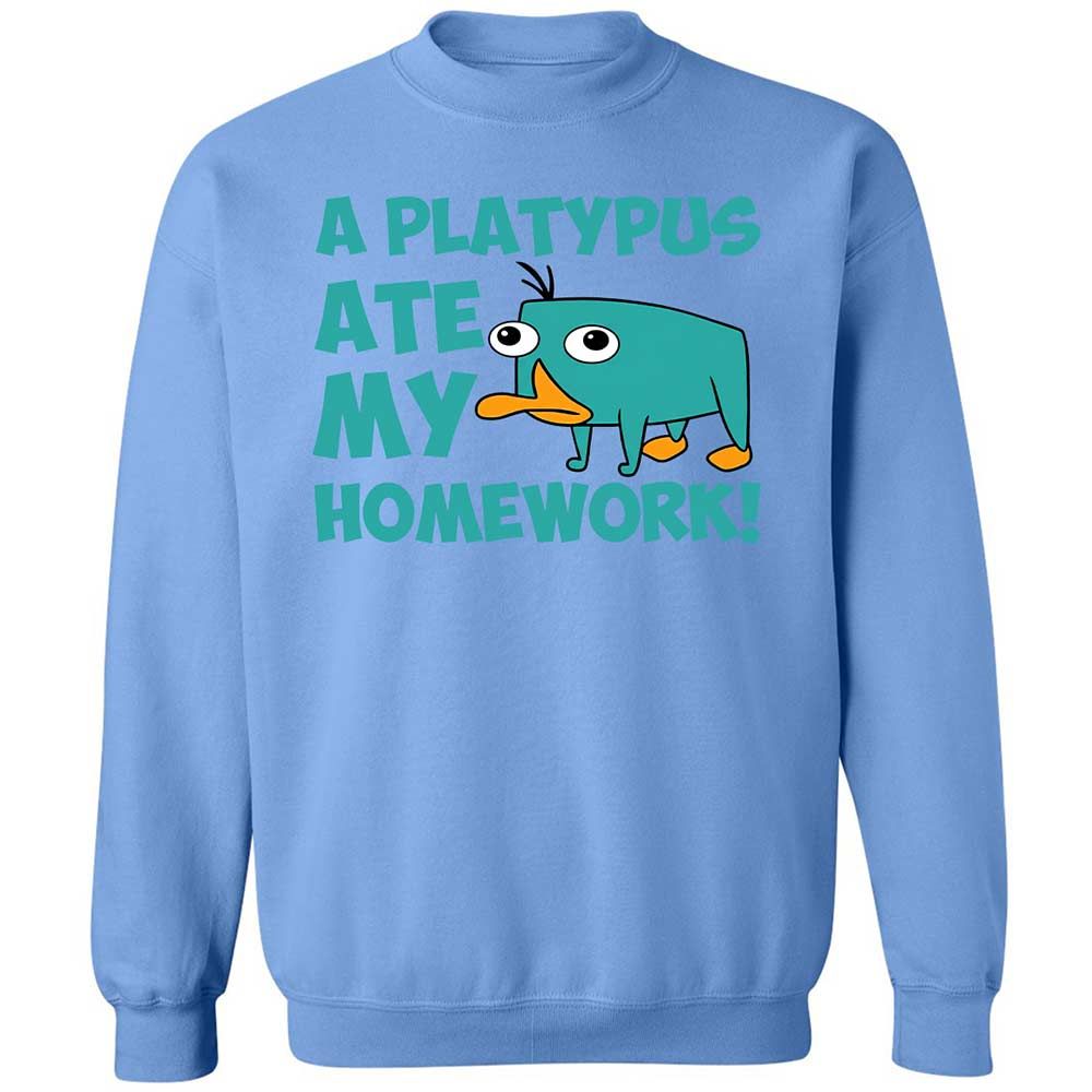 Classic Unisex Sweatshirt - KJ64EKT3 - Carolina Blue - 20