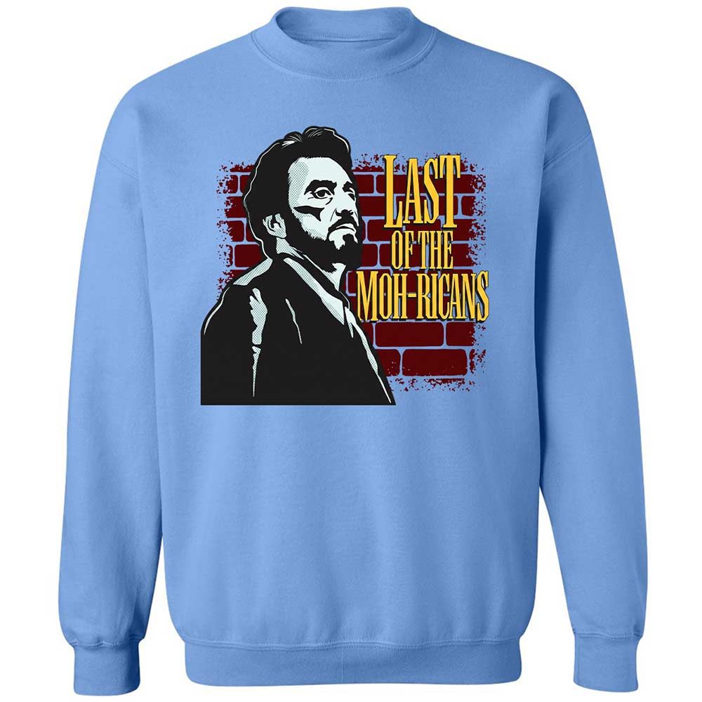 Classic Unisex Sweatshirt - L7N5VYL9 - Carolina Blue - 20