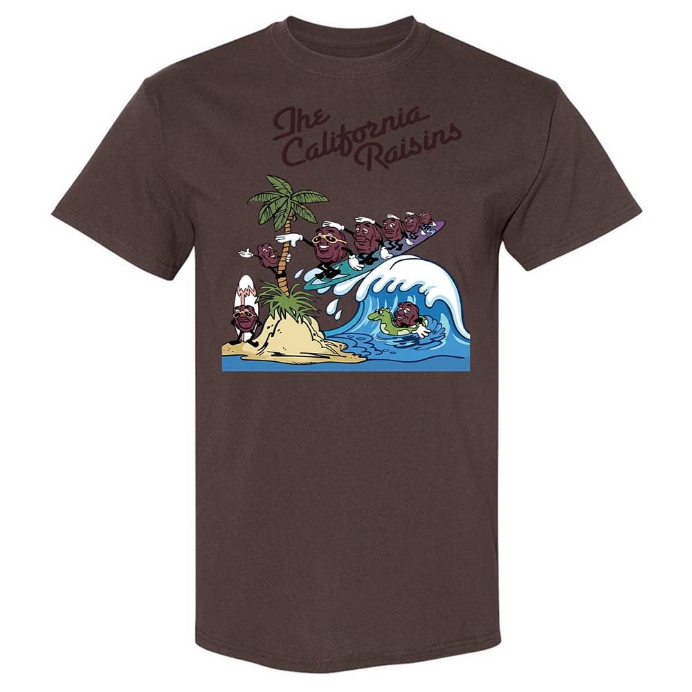 California Raisins - Dark Chocolate - 20