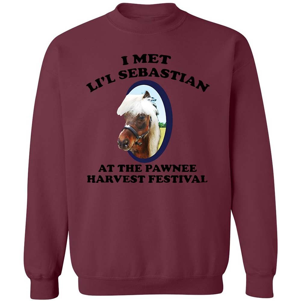 Classic Unisex Sweatshirt - TBM26TRM - Maroon - 20