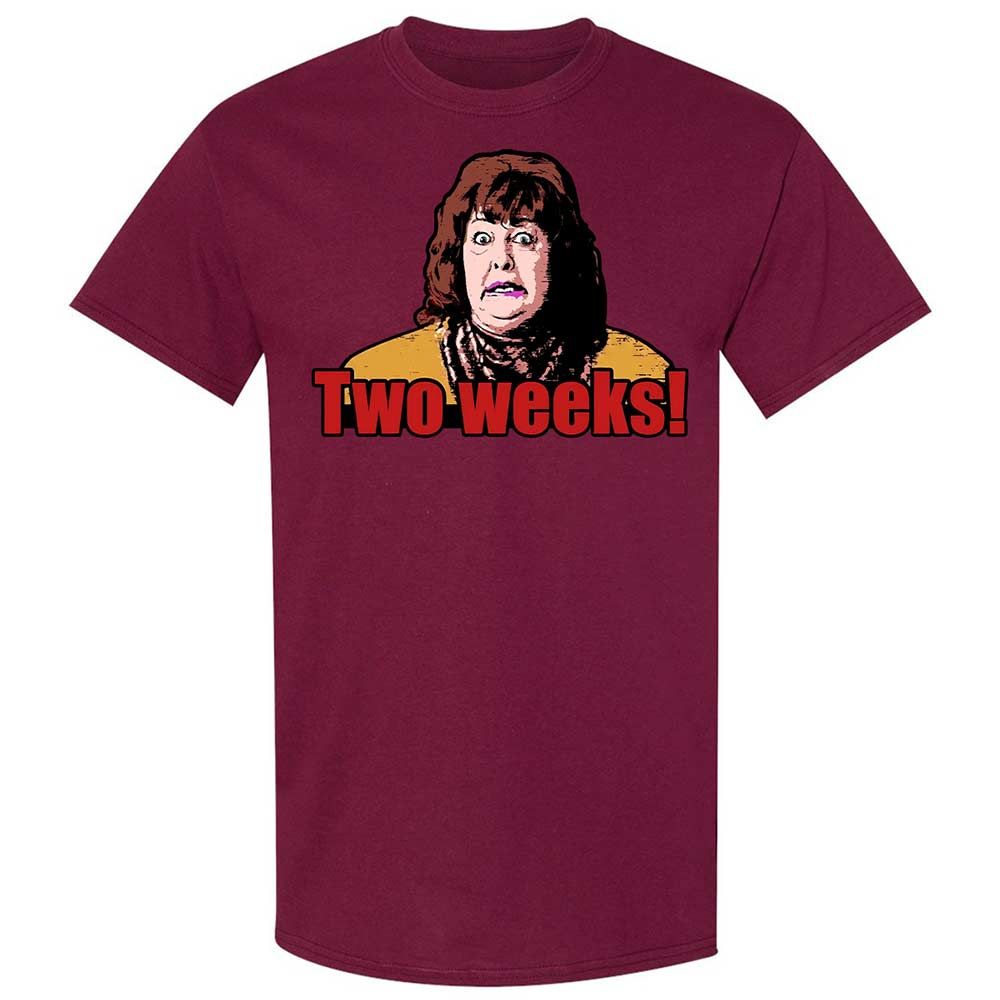 Classic Unisex T-Shirt - Y53TDV8W - Maroon - 21