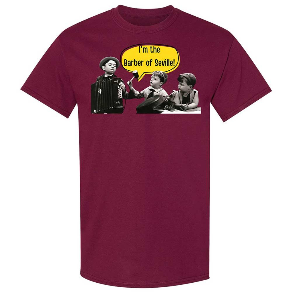 Classic Unisex T-Shirt - BG3KZS7L - Maroon - 21