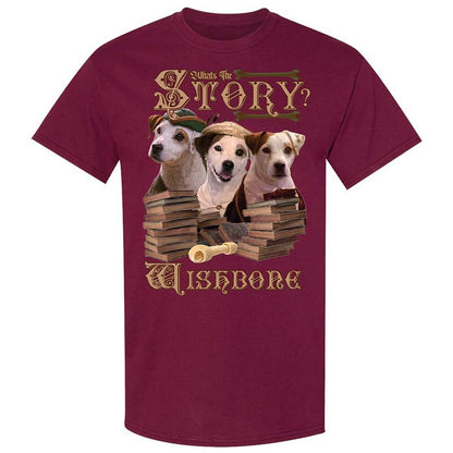 What's the story - Maroon - 21