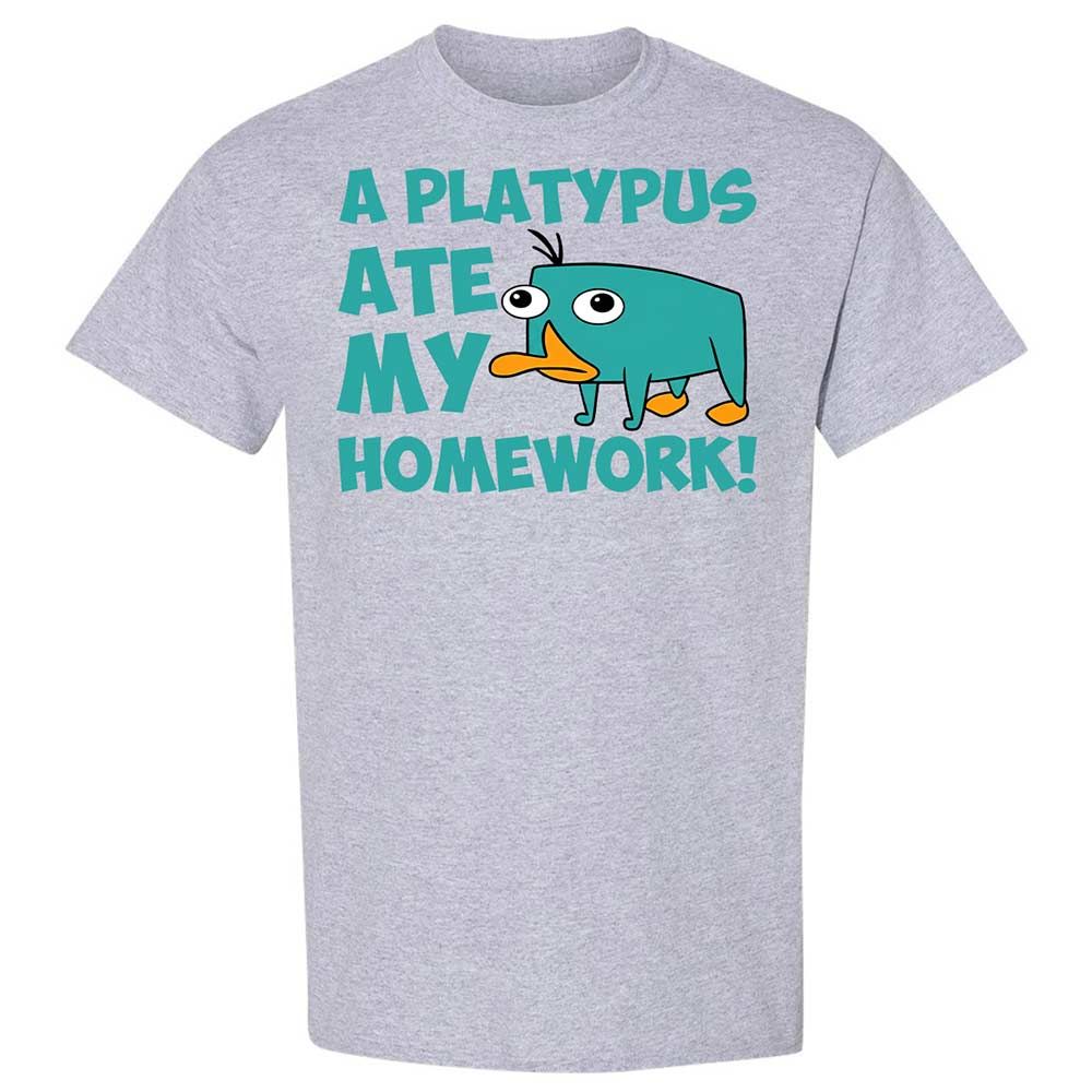 Classic Unisex T-Shirt - NQWJYLTT - Sport Grey - 21