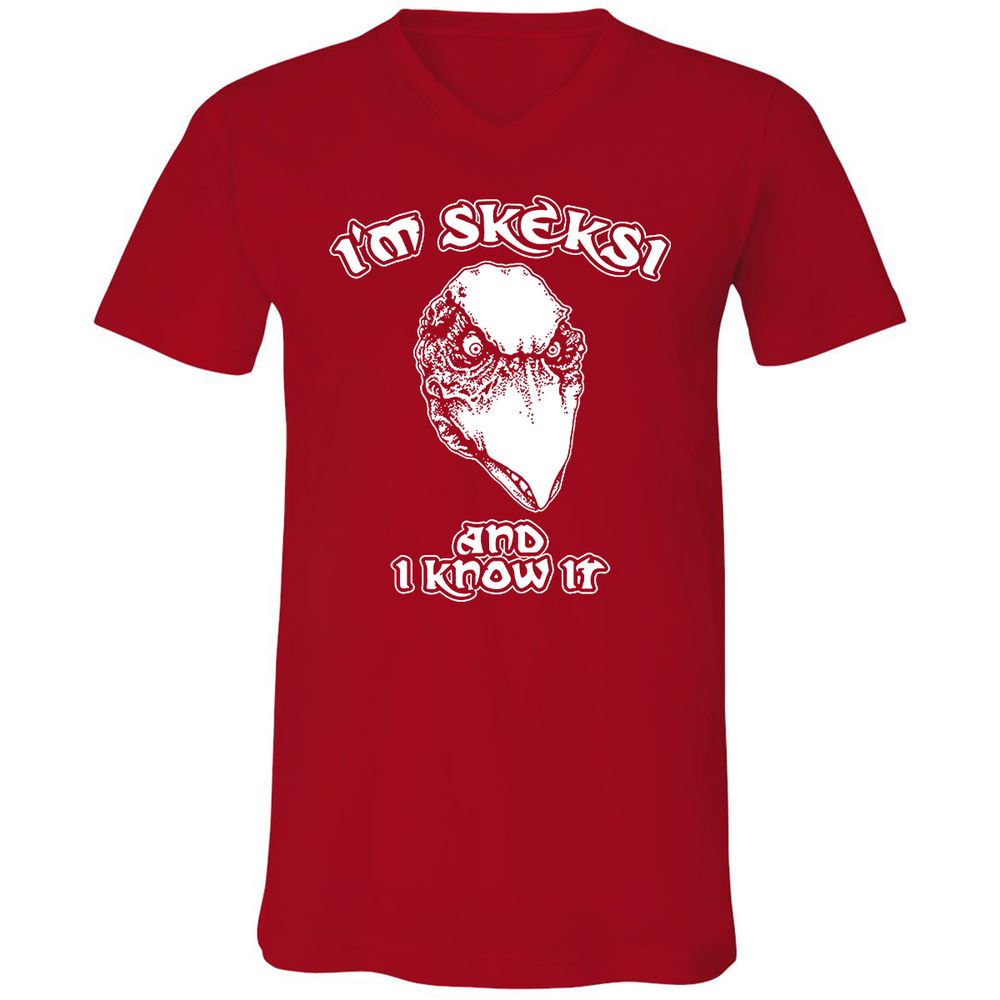 Unisex V-Neck T-Shirt - AGCXZ1HQ - Red - 3