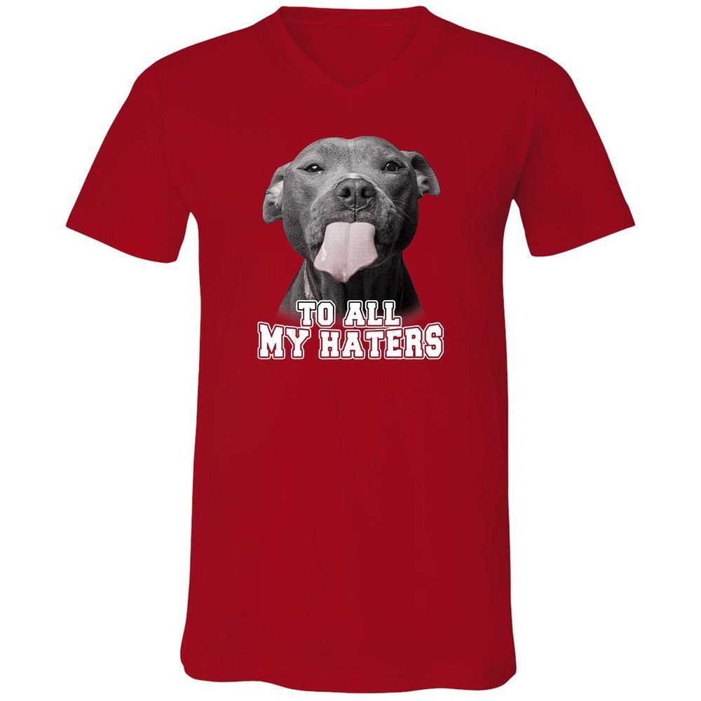 Unisex V-Neck T-Shirt - 3Z36GRAF - Red - 3