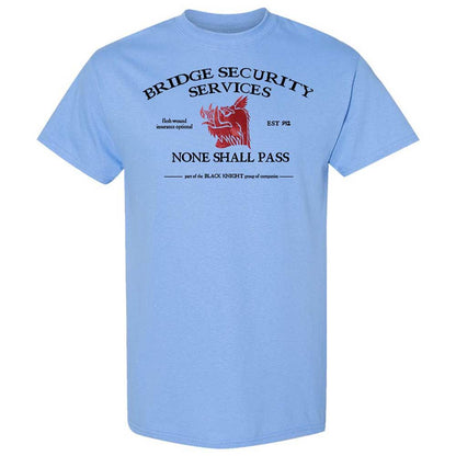 Classic Unisex T-Shirt - D3383KEG - Carolina Blue - 4