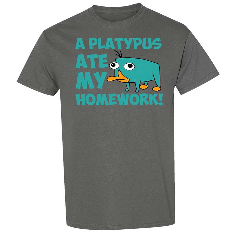Classic Unisex T-Shirt - NQWJYLTT - Charcoal - 4