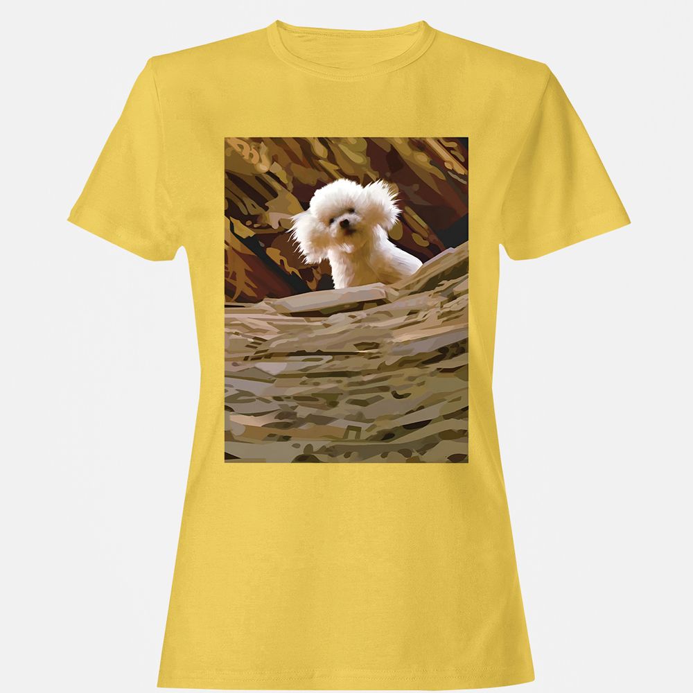 Precious Bichon - Daisy - 4