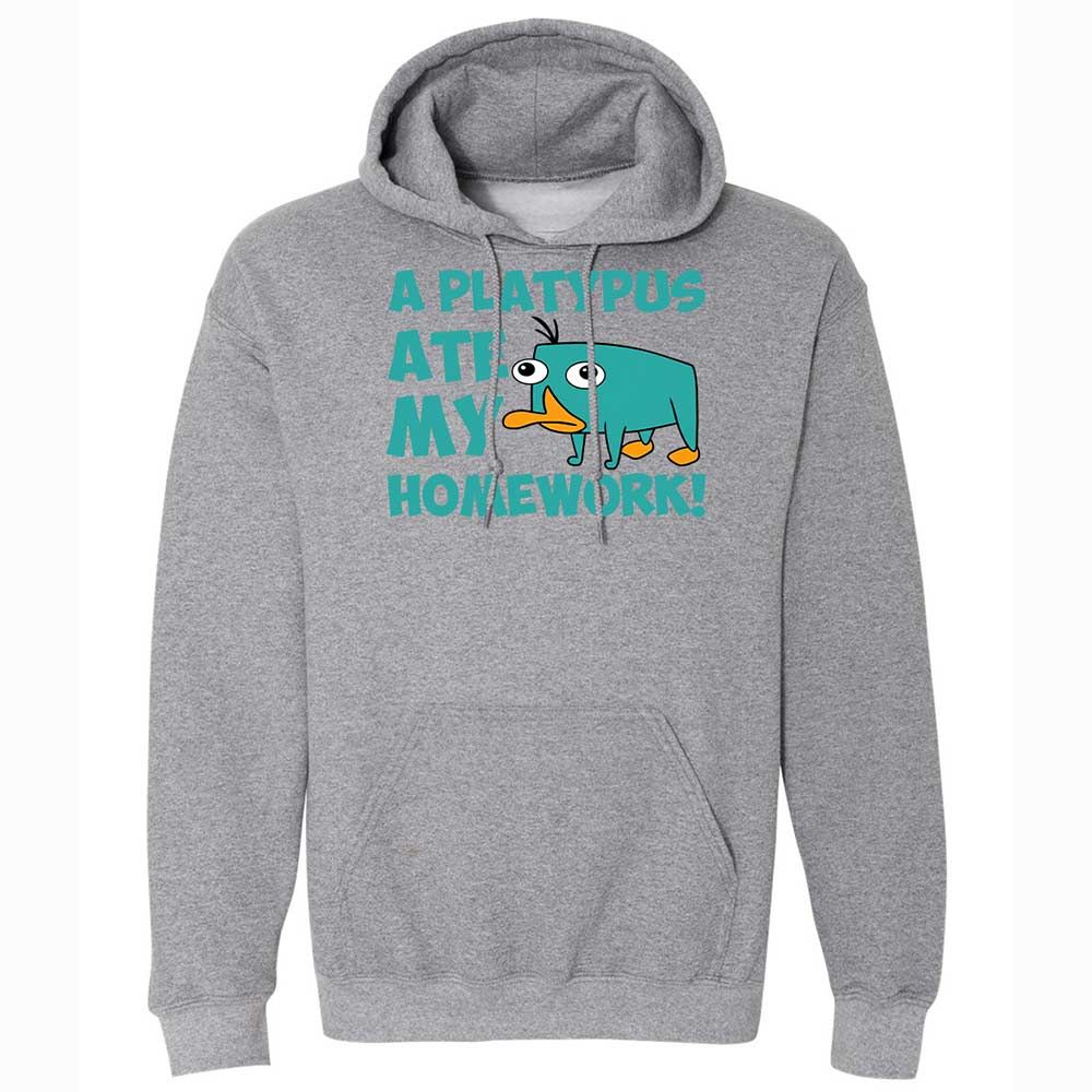 Classic Unisex Hoodie - 6LCQ1Y8Y - Graphite Heather - 4