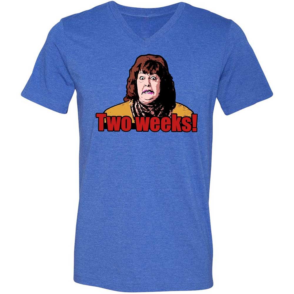 Unisex V-Neck T-Shirt - H9M9T2TE - Heather True Royal - 4