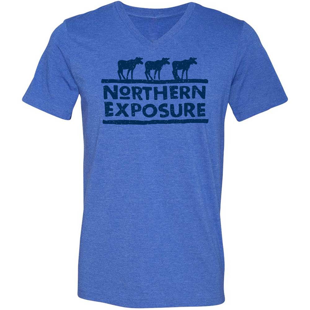 Unisex V-Neck T-Shirt - A4ZF2DLV - Heather True Royal - 4