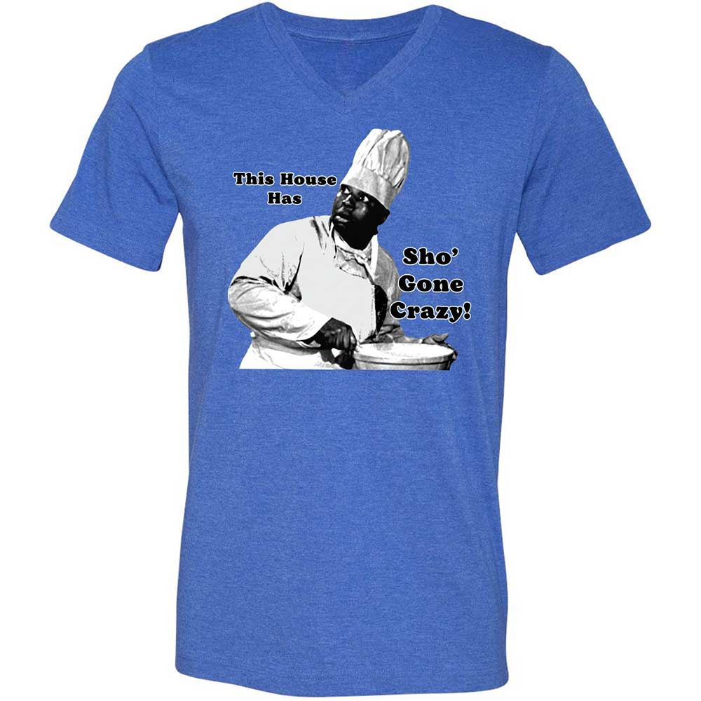 Unisex V-Neck T-Shirt - D2QFEQRA - Heather True Royal - 4
