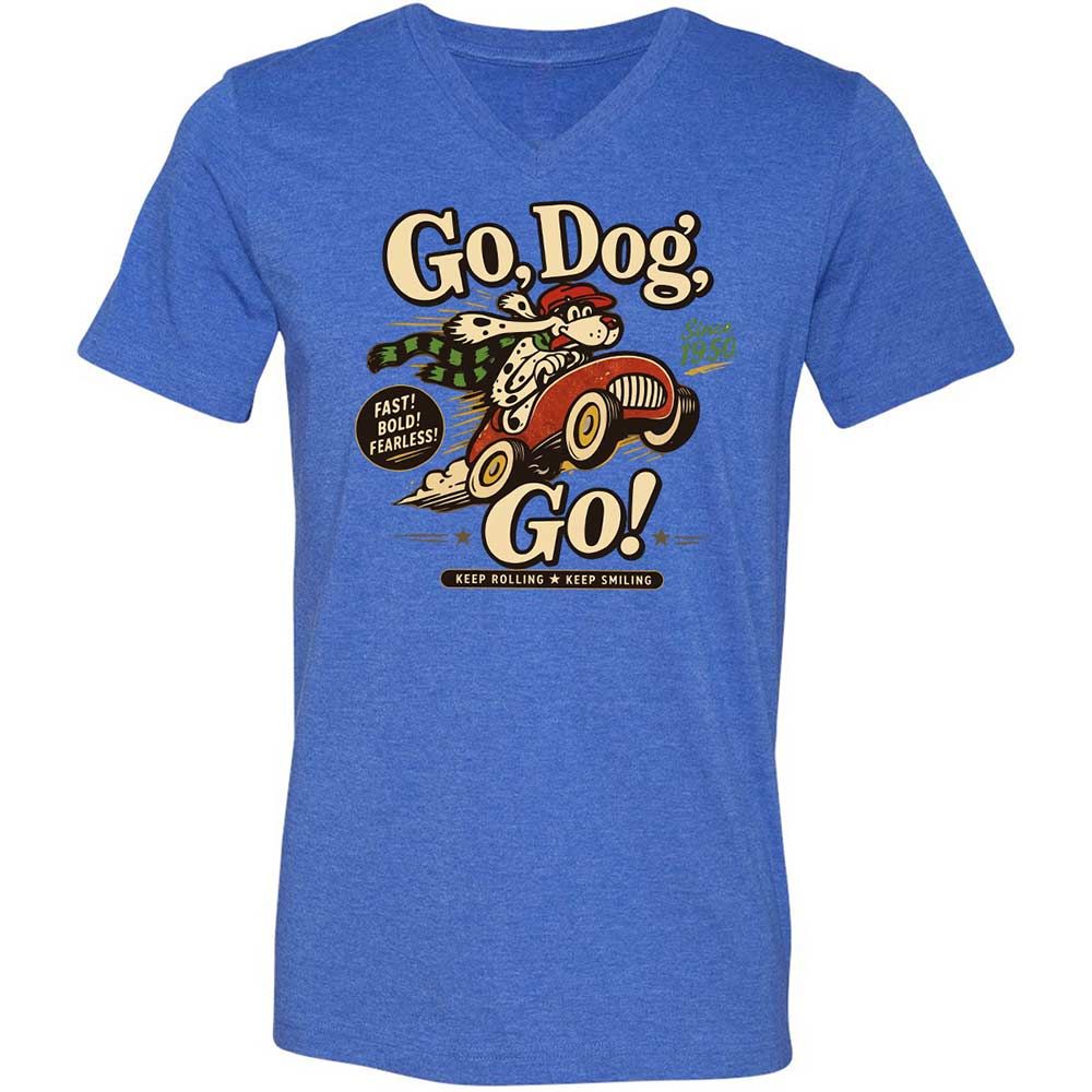 Unisex V-Neck T-Shirt - L5GDX3KP - Heather True Royal - 4