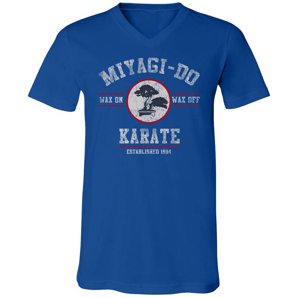 Unisex V-Neck T-Shirt - YSD1PHR9 - True Royal - 4
