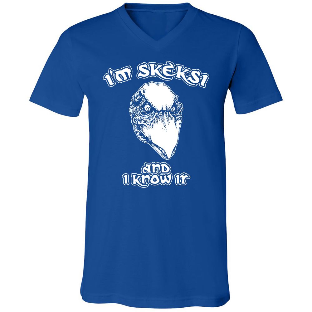 Unisex V-Neck T-Shirt - AGCXZ1HQ - True Royal - 4
