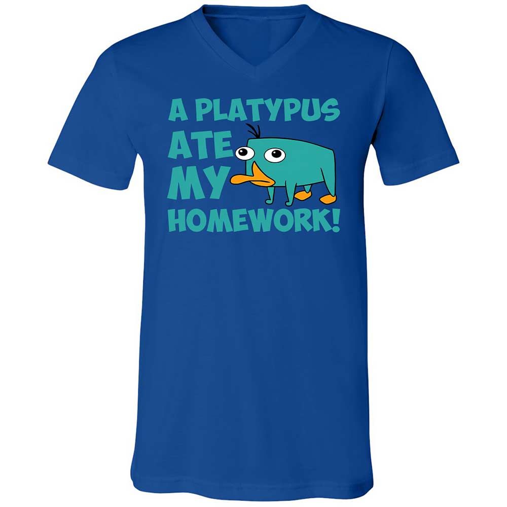 Unisex V-Neck T-Shirt - 5LF2ZZDD - True Royal - 4