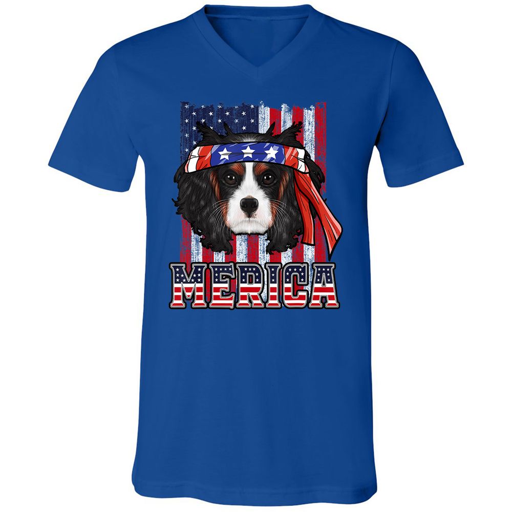 Unisex V-Neck T-Shirt - PRX98J7N - True Royal - 4