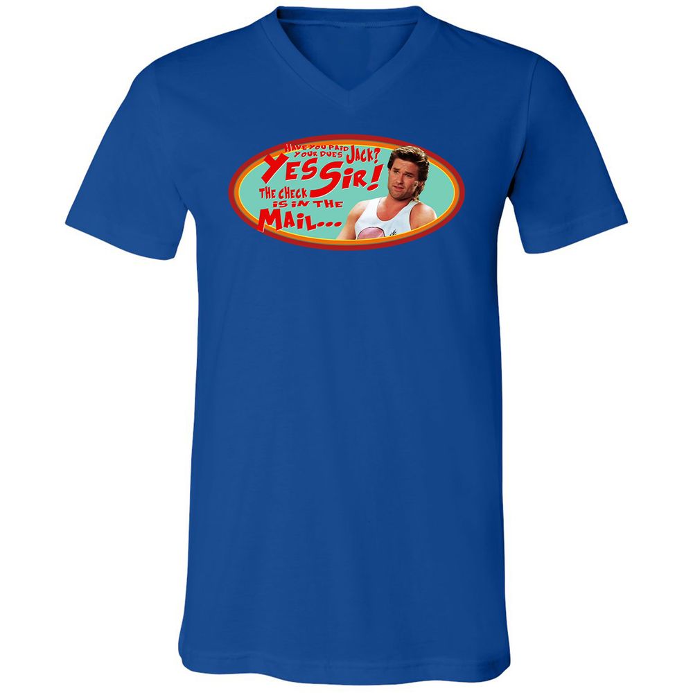 Unisex V-Neck T-Shirt - HZVFGSY8 - True Royal - 4