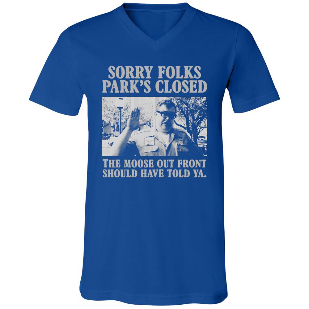 Unisex V-Neck T-Shirt - YQLHGB66 - True Royal - 4