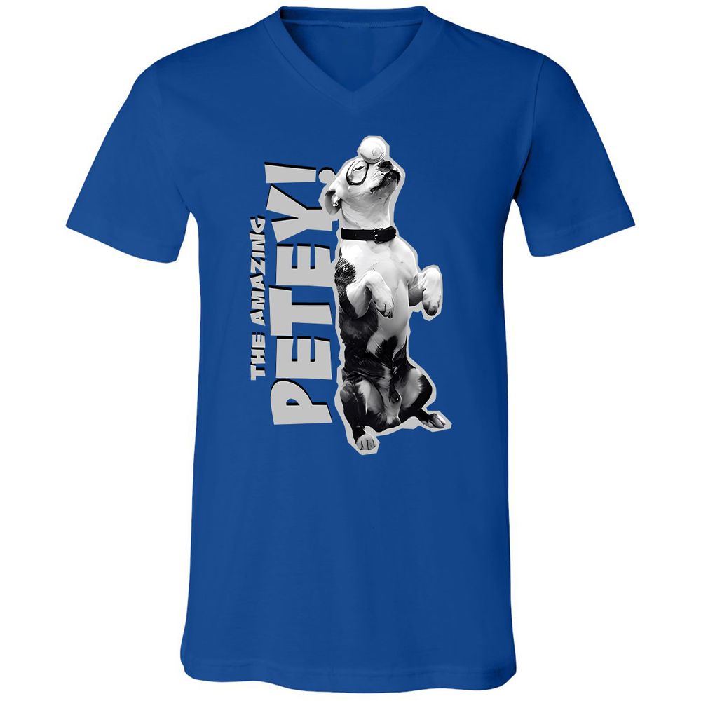 Unisex V-Neck T-Shirt - GTA4QVXH - True Royal - 4
