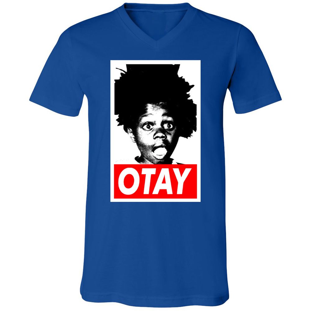 Unisex V-Neck T-Shirt - BW6CY1Y4 - True Royal - 4