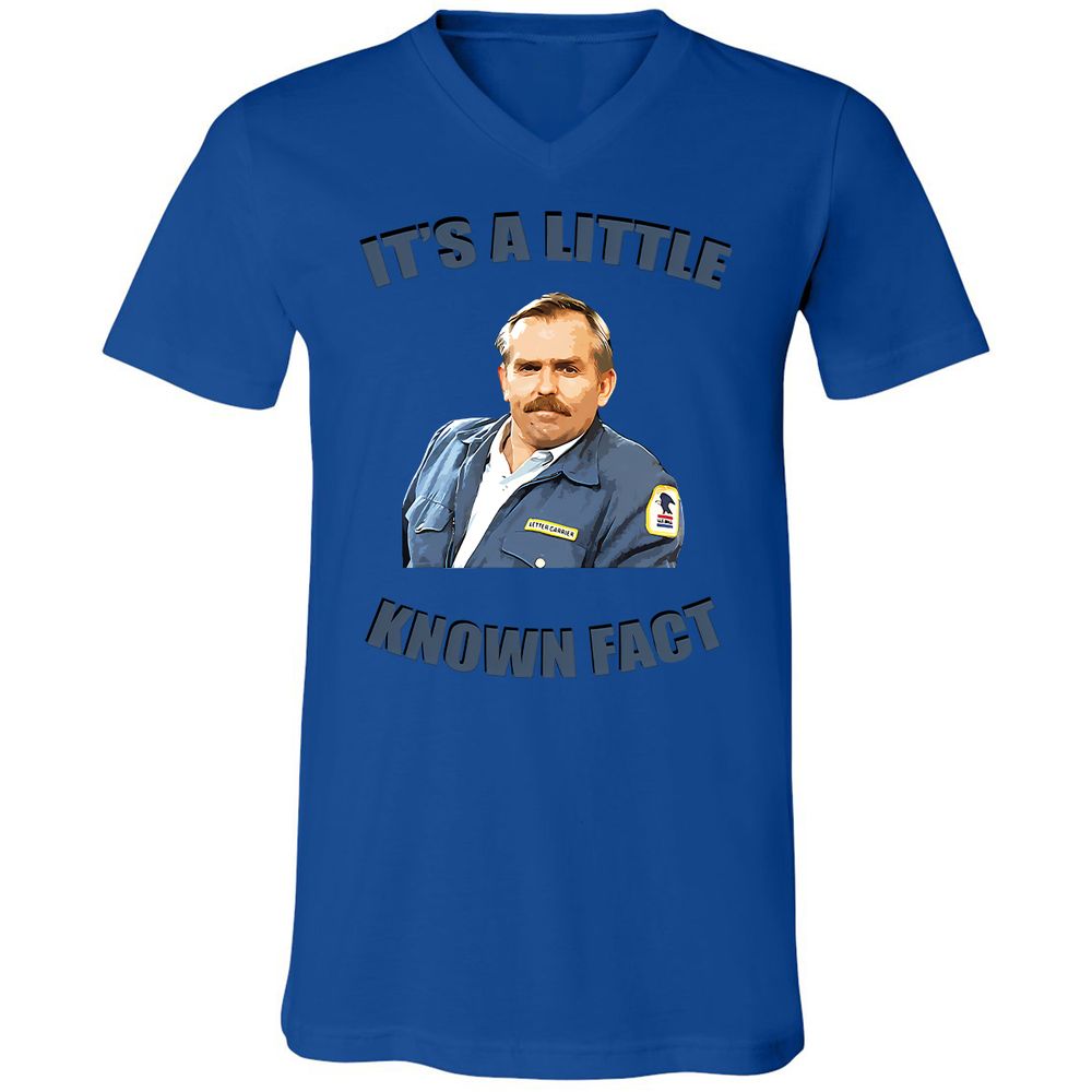 Unisex V-Neck T-Shirt - Y4Q4STCB - True Royal - 4