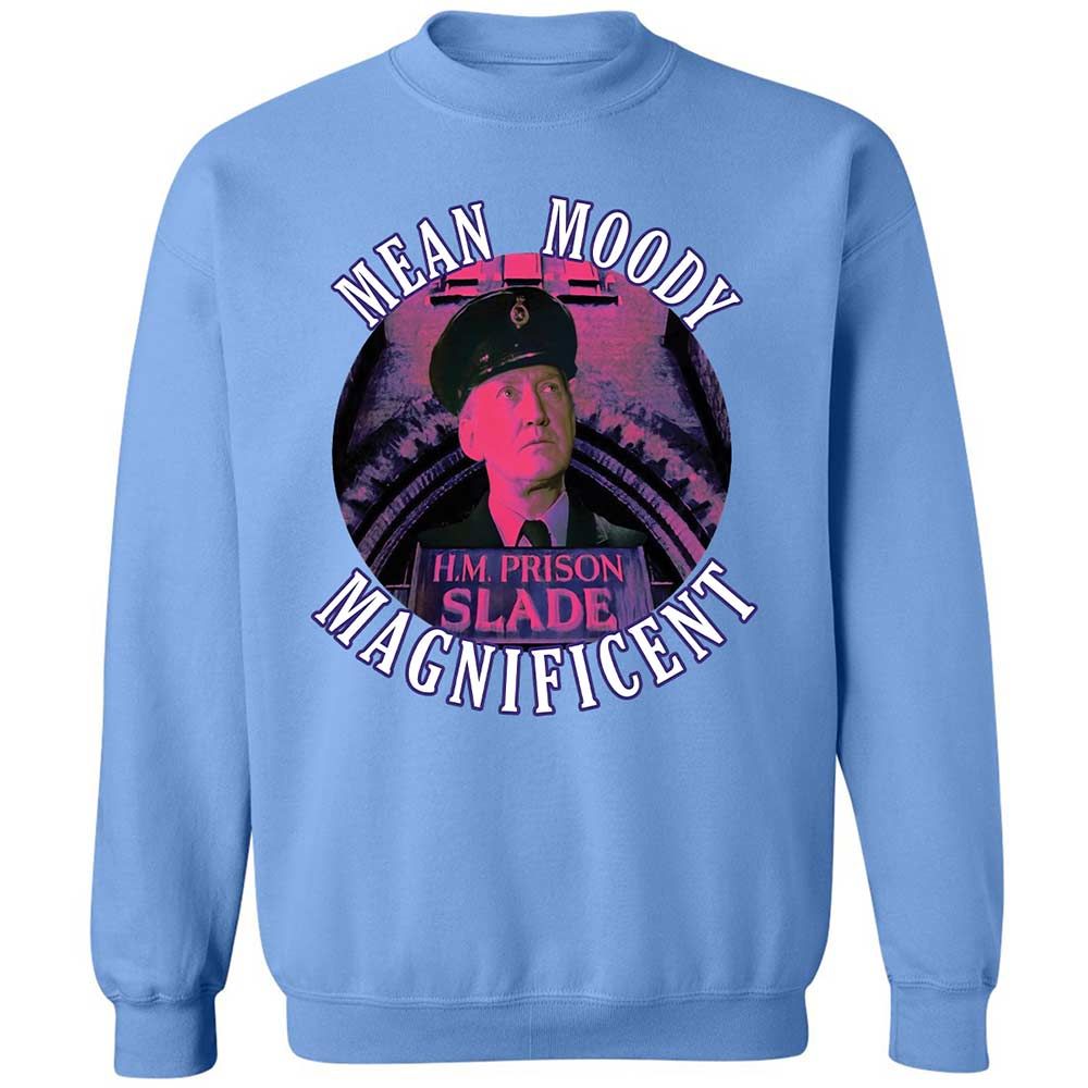 Classic Unisex Sweatshirt - X22YJK5U - Carolina Blue - 5