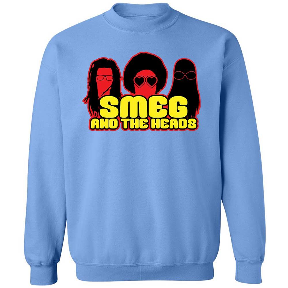 Classic Unisex Sweatshirt - LDWQ2ME9 - Carolina Blue - 5