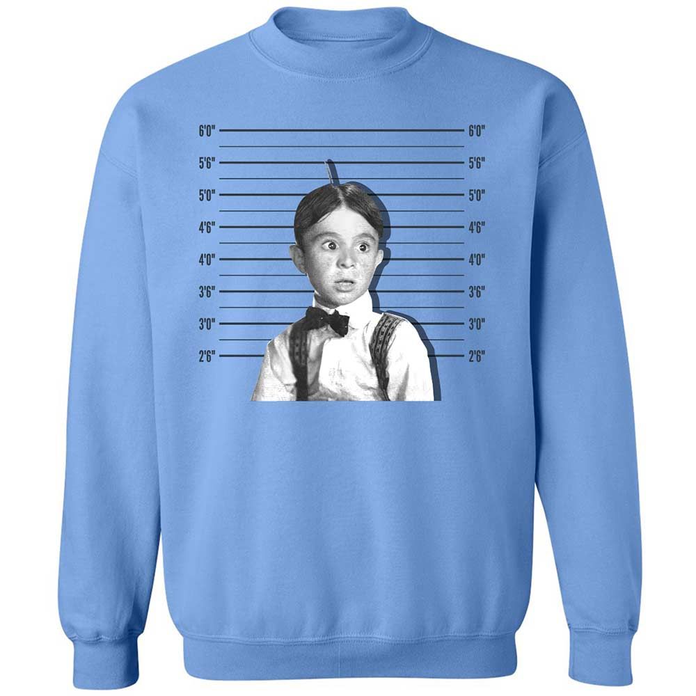 Classic Unisex Sweatshirt - LWSWMXE6 - Carolina Blue - 5