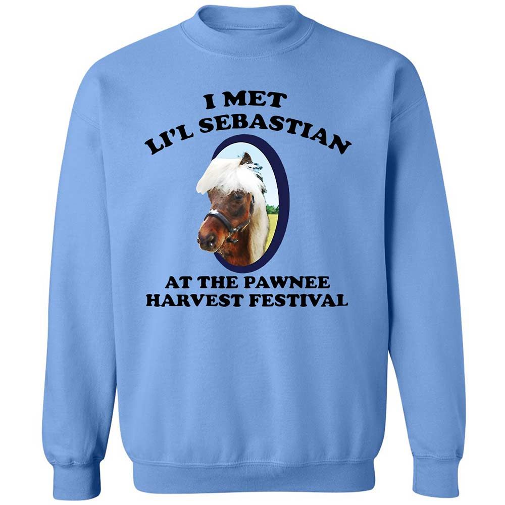 Classic Unisex Sweatshirt - TBM26TRM - Carolina Blue - 5