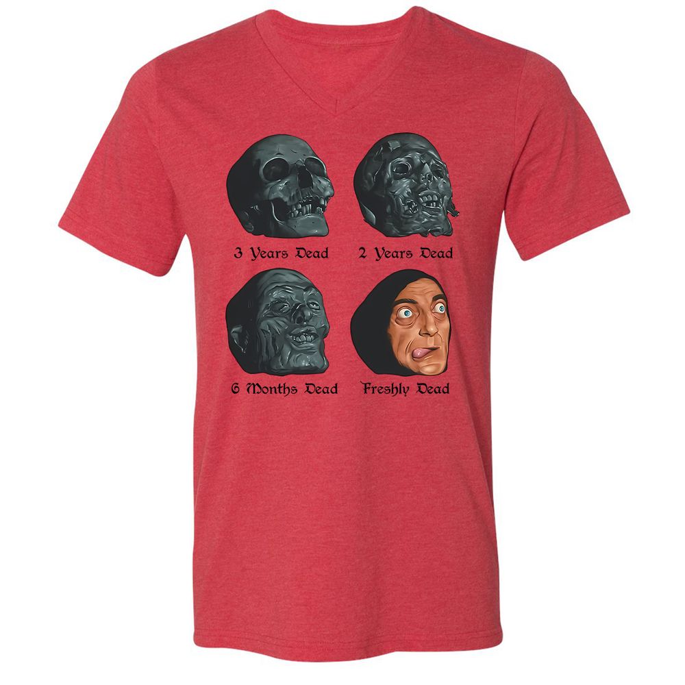 Unisex V-Neck T-Shirt - CAFY47VA - Heather Red - 5