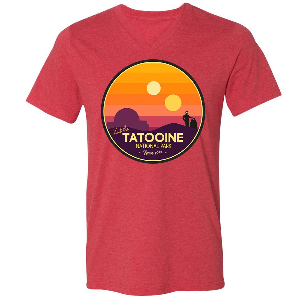 Unisex V-Neck T-Shirt - PZT85NVG - Heather Red - 5