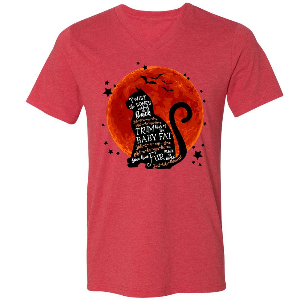 Unisex V-Neck T-Shirt - BNDCZTMC - Heather Red - 5