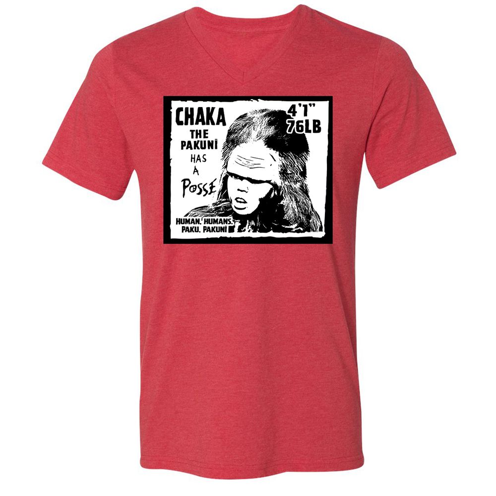 Unisex V-Neck T-Shirt - HWTV1J9A - Heather Red - 5