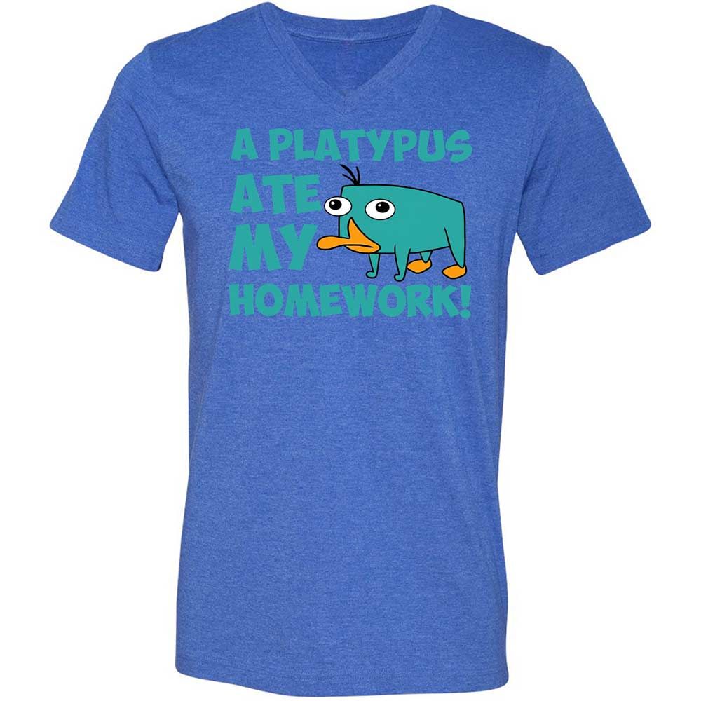Unisex V-Neck T-Shirt - 5LF2ZZDD - Heather True Royal - 5